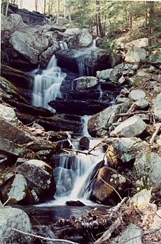 Briggs Brook Falls Massachusetts