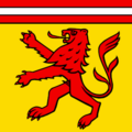 CHE Mellingen Flag