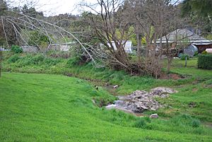 Carcoar Belubula River 001