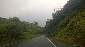 Carretera PR-184, Patillas, Puerto Rico