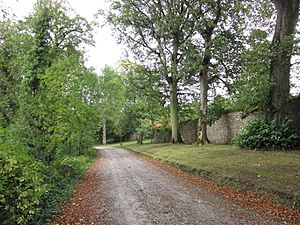 Castle Widenham, driveway and bawn wall (geograph 6417614)