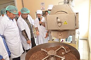 Cocoa processing factory in Palu
