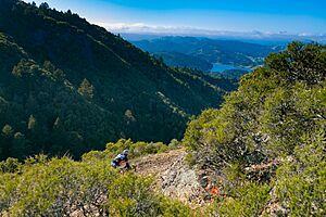 Cyclist on gravel bike descending Eldridge Grade