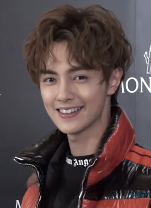 Darren Chen in October 2018.png