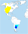 Distribution of Buteo swainsoni
