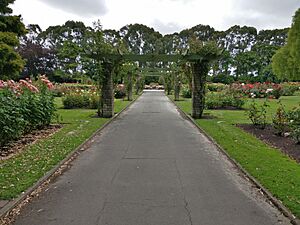 Dugald McKenzie Rose Garden, Dec 2019