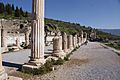Efes (Ephesos) - panoramio - Yağmur Aydın (7)