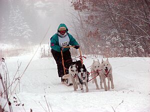 Emily Apostle Island Sled Dog Race