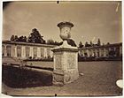 Eugène Atget - Versailles, Grand Trianon, (Le Parc) - 1963.944