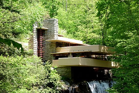 Fallingwater - DSC05643