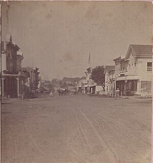 Flushing Michigan Pre 1878