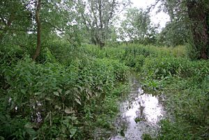 Footpath to River Great Ouse - geograph.org.uk - 469422