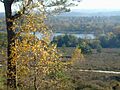 Frensham Little Pond - geograph.org.uk - 2039