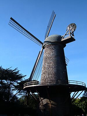 Golden Gate Park north windmill side