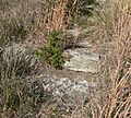 Gregory Buttes steps (Gregory SD) detail 1