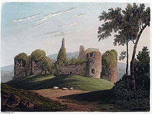 Grosmont Castle (1130485) - trimmed