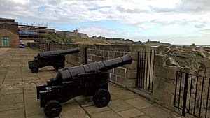 Guns on Clifford's Fort, North Shields