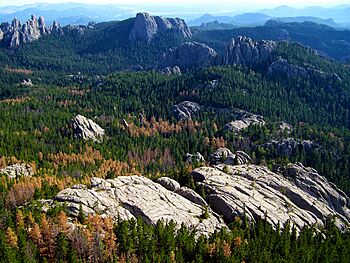 Harney Peak 4