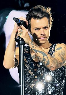 Harry Styles Wembley June 2022 (cropped)