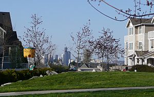 High Point Seattle 01