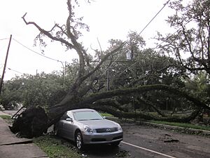 Issac Tree on Car 1