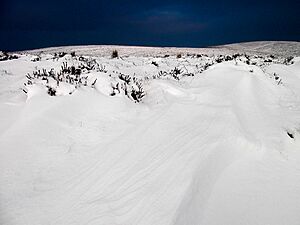 Long Mynd snowdrift