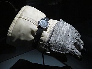 Lune Grand Palais - Training glove and Omega watch