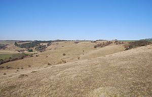 Lydden and Temple Ewell Downs 1.JPG