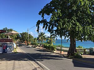 Main Street of Esperanza, Puerto Rico