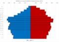 Međimurje County Population Pyramid Census 2011 ENG
