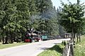 Moldovita forest railway 2013-07-12 04