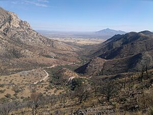 Montezuma Pass Overlook, elevation 2100 meters - panoramio