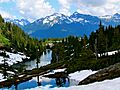 Mt. Baker-Snoqualmie National Forest (9292839800)