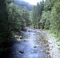 Oregon Salmon River Clackamas County from bridge looking west P1651