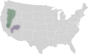 Paiute map