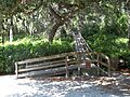 Palmetto FL Emerson Point Portavant Mound01