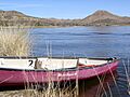Plsp-boat
