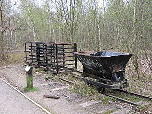 Railway Wagon in Beacon Wood Country Park - geograph.org.uk - 1264060
