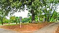 Randolph Cemetery-01