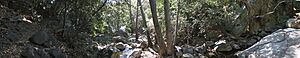 Rattlesnake canyon santa barbara