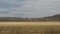 Rayburn Johnson Shell Mound site