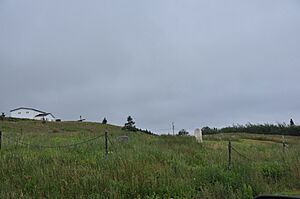 RenewsNL OldCemetery