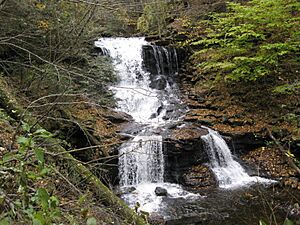 Ricketts Glen State Park Tuscarora Falls 4