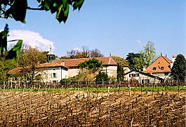 View of the village and vineyards