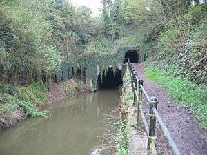 Shrewley Canal Tunnel - geograph.org.uk - 5117
