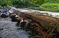 Sloat's Dam and Mill Pond 2