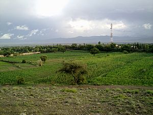 Sowy Nabi - panoramio.jpg
