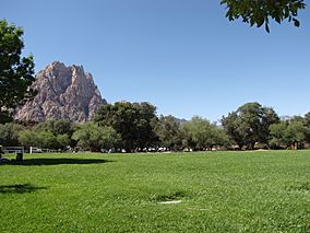 Spring Mountain Ranch State Park field.JPG