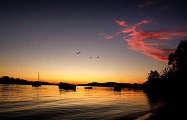 Sunrise in Noosa, Queensland, Australia.jpg