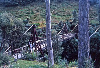 Tangarakau Bridge, New Zealand, 1968.jpg